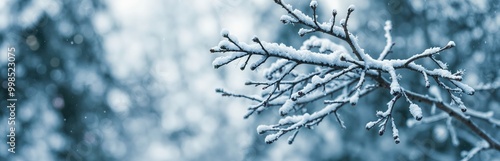 A close-up image of a snow-covered branch with delicate branches and buds, set against a blurred winter landscape, captures the serene beauty of nature