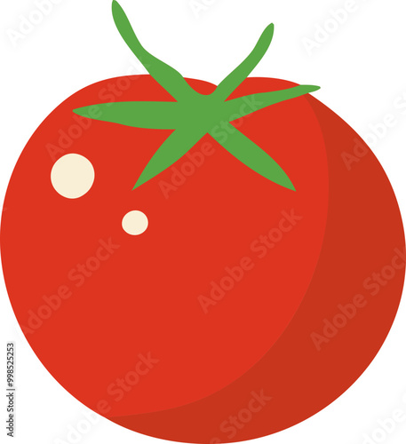 tomato illustration