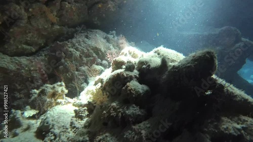 Play of light and shadow in the Red Sea caves