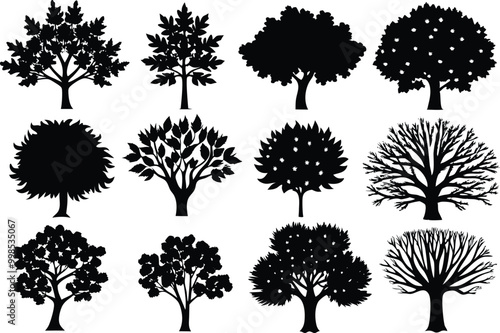 Silhouettes of different kind of Sycamore trees stock illustration.