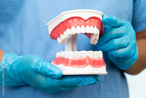 Dentist holding dental teeth model to study and treat in hospital.