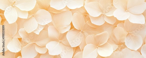 beige transparent leaves with natural texture background