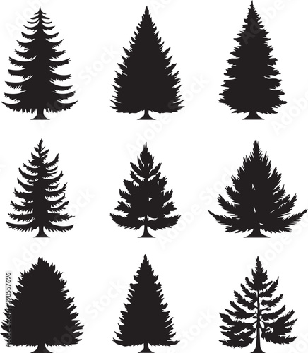 Black silhouettes of a pine tree, Evergreen trees, black and white cliparts