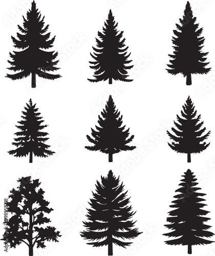 Black silhouettes of a pine tree, Evergreen trees, black and white cliparts