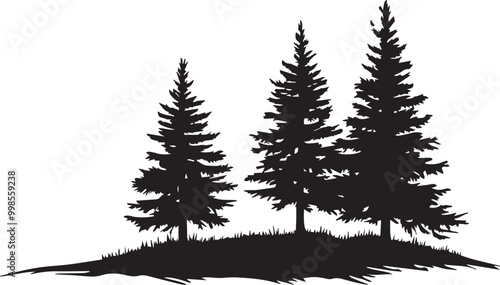 Black silhouettes of a pine tree, Evergreen trees, black and white cliparts