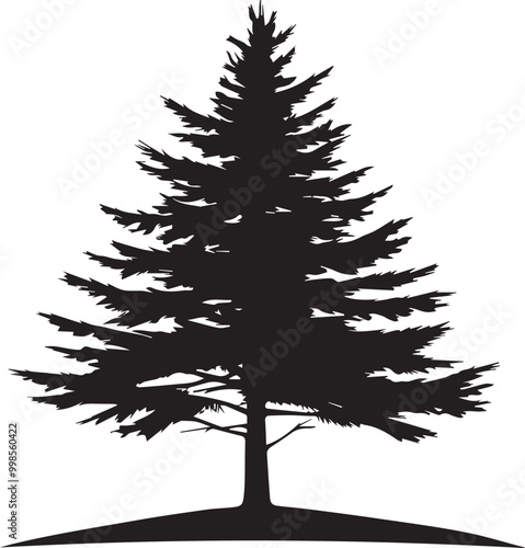 Black silhouettes of a pine tree, Evergreen trees, black and white cliparts