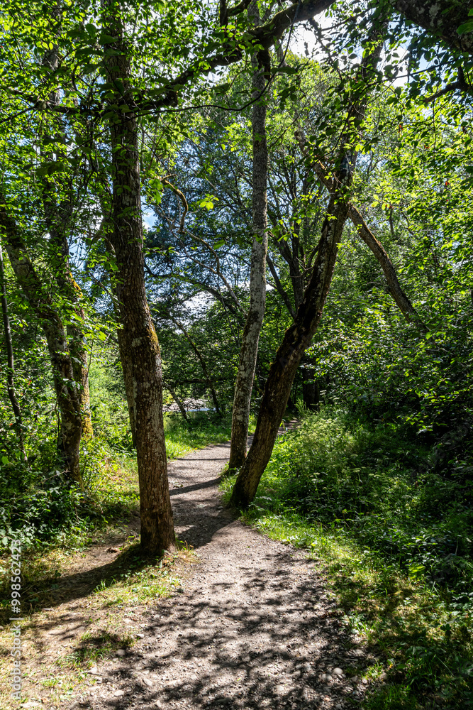 Fototapeta premium Scenery around drumnadrochit on loch ness
