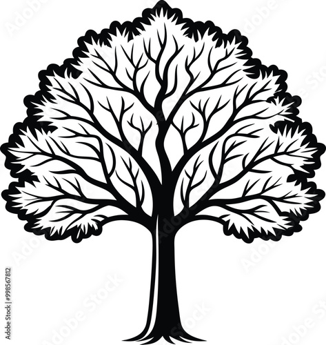 Simple line art Sycamore tree silhouette icon, vector illustration on white background.