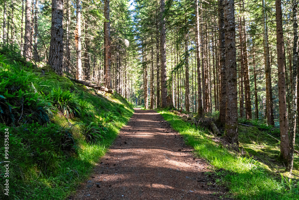Glen Affric in the scottish Highlands Glen Affric in the scottish Highlands