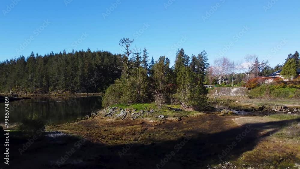 Flying low to the ground over tidal pools. Moving towards a cluster of trees. Taken near Madeira Park, Sunshine Coast, British Columbia Flying low to the ground over tidal pools. Moving towards a cluster of trees. Taken near Madeira Park, Sunshine Coast, British Columbia
