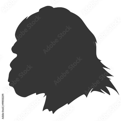 Chimpanzee logo silhouette vector illustration
 photo