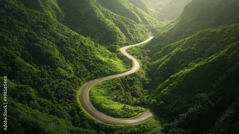 winding mountain road cutting through lush greenery, seen from high above winding mountain road cutting through lush greenery, seen from high above