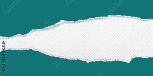 Green paper strips with torn edges and soft shadow are on white transparent background for text or ad.