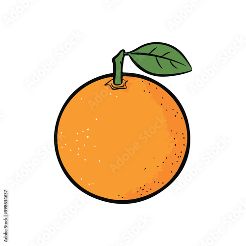 vector of illustration of orange