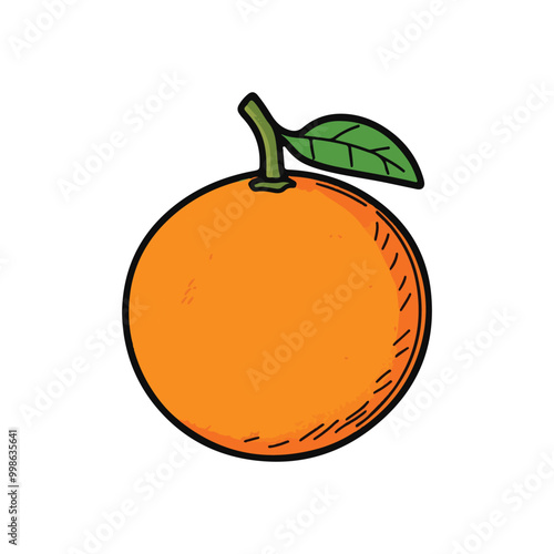 vector of illustration of orange