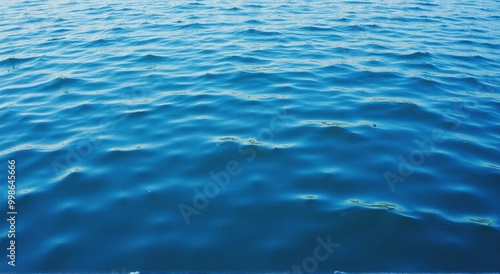 water surface