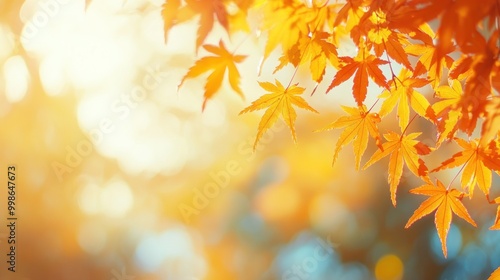 Golden autumn leaves with sunlit bokeh background.