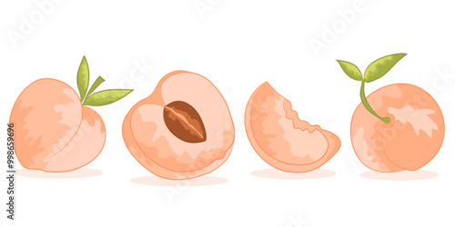 Hand drawn abstract peach set with shadow. Collection of whole and cut peaches and leaves vector illustrations isolated on white background. Fresh juicy fruits clip art