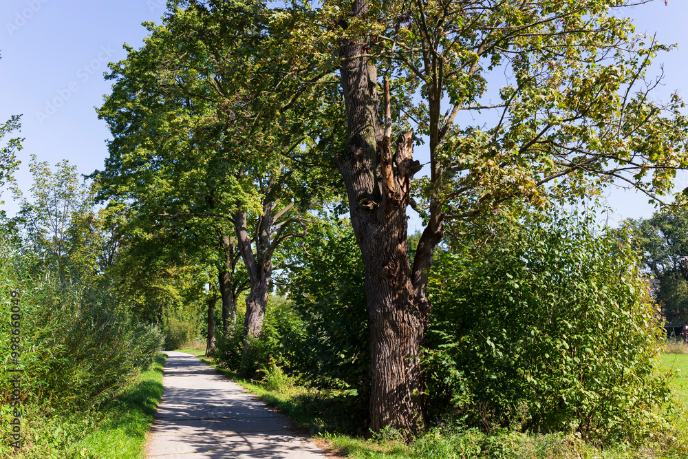 Autumn Trees around River Sazava from the central Czech