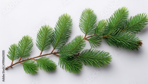 A set of different Green, realistic branch of fir. Fir branches. Isolated on white. Christmas illustration.Vector. Eps10.