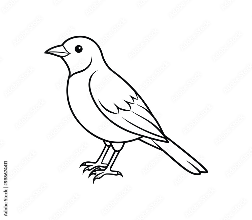 Black and white Bird line art vector on white background Black and white Bird line art vector on white background