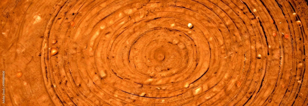 A close-up view wooden log, showcasing the intricate spiral pattern created by the wood grain A close-up view wooden log, showcasing the intricate spiral pattern created by the wood grain