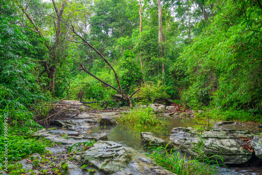 A breathtaking natural wonder that captivates visitors with its stunning beauty and serene atmosphere. A breathtaking natural wonder that captivates visitors with its stunning beauty and serene atmosphere.