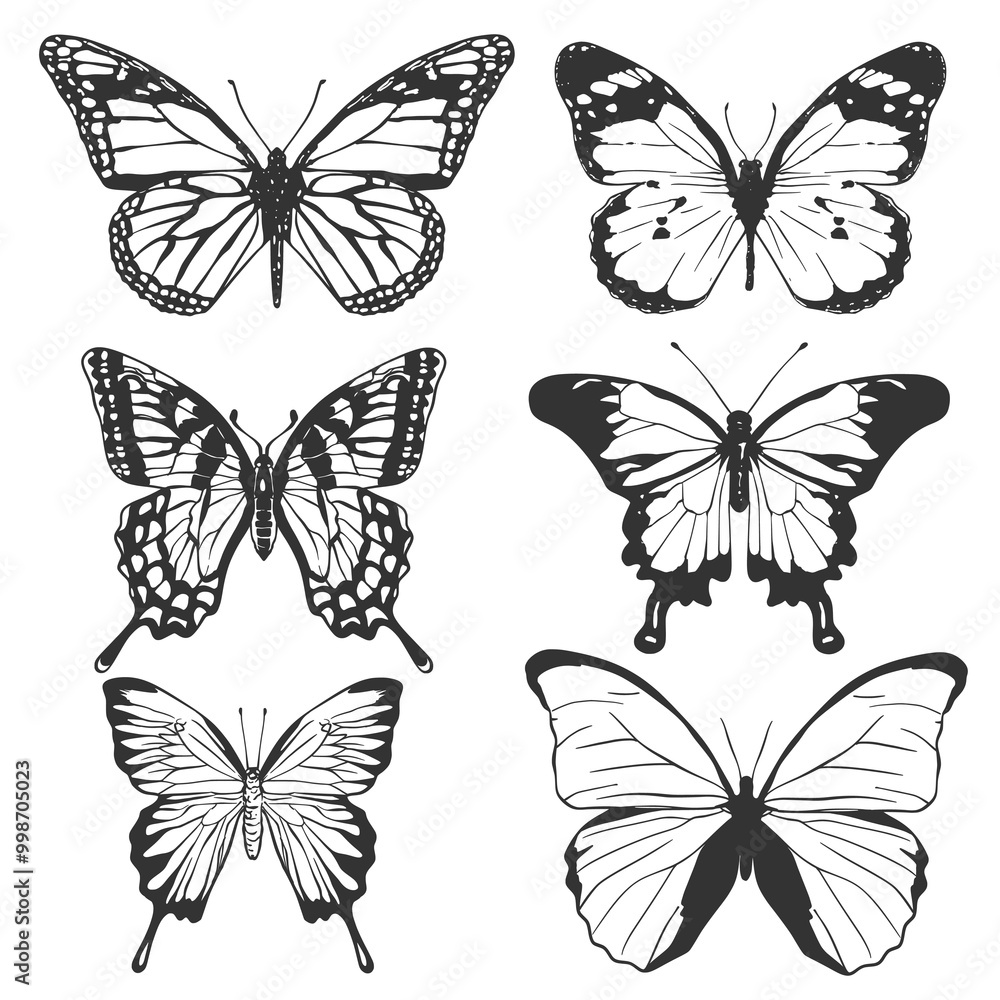 Vector Silhouette Set of Butterflies Vector Silhouette Set of Butterflies