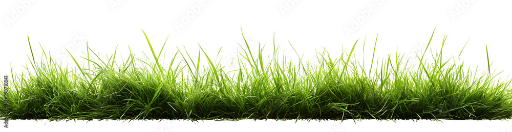 Fototapeta premium Hi Resolution image of Fresh green grass isolated against a transparent background