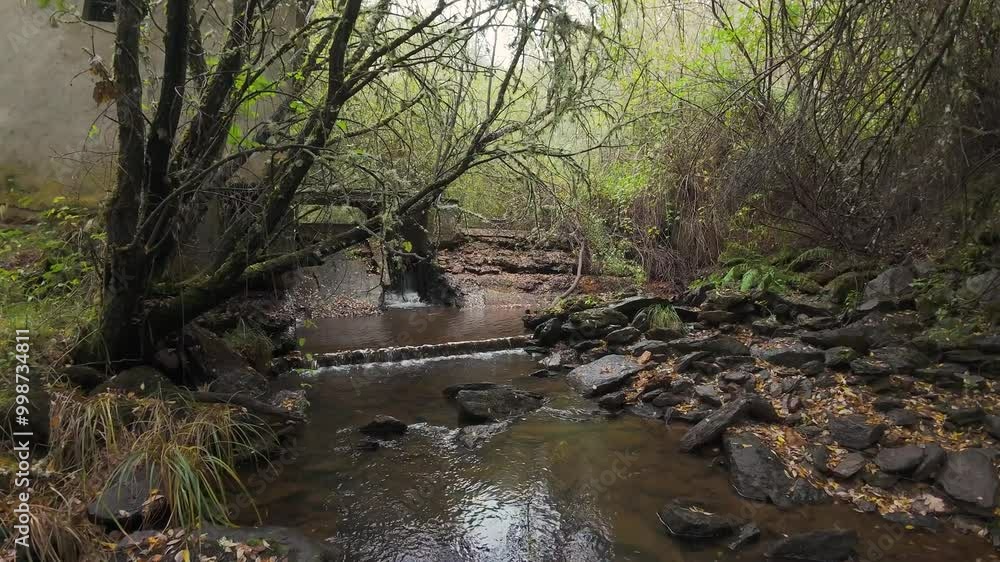 Drone video sunny stream, low angle view highlights fall afternoon. Low angle view captures cascade terrain and secluded area Drone video sunny stream, low angle view highlights fall afternoon. Low angle view captures cascade terrain and secluded area