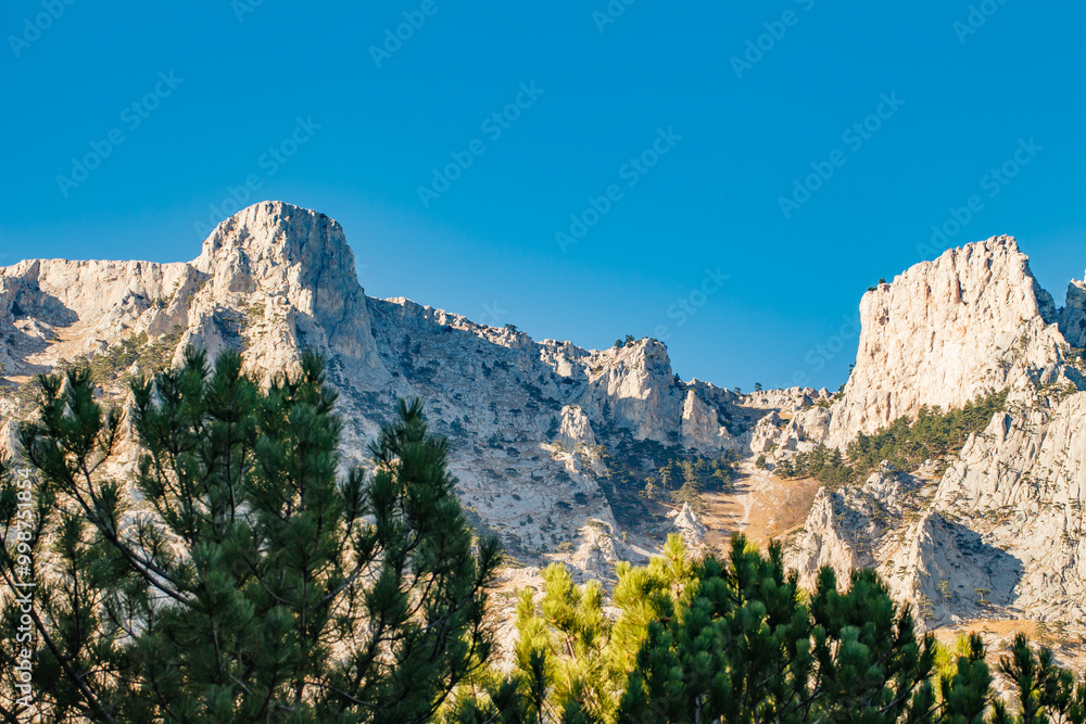 Fototapeta premium high rocky mountains with forested slopes and peaks