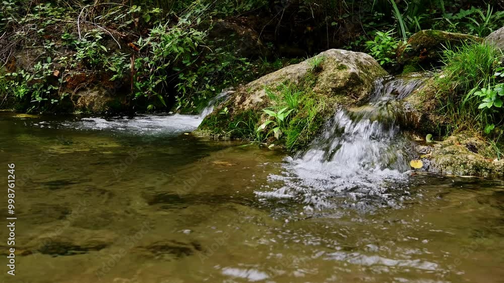 Small Waterfall In A Lush Green Forest Small Waterfall In A Lush Green Forest