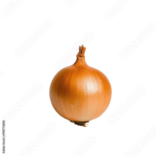 A fresh onion isolated on transparent background. photo