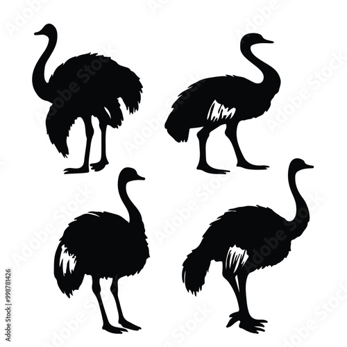 create black silhouette ostrich set vector with white background photo