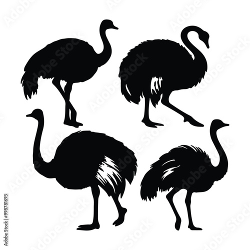 create black silhouette ostrich set vector with white background photo