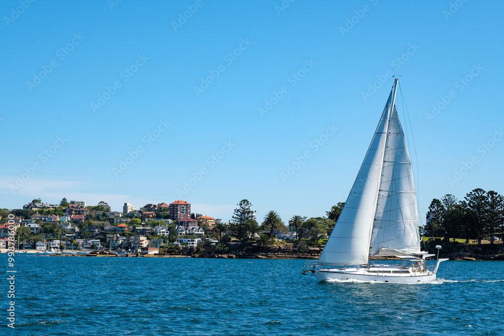 A sail travelling across the sea near Rose Bay and Watsons Bay in Sydney, Australia A sail travelling across the sea near Rose Bay and Watsons Bay in Sydney, Australia