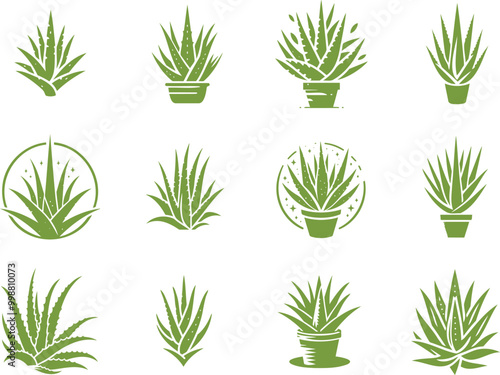 Aloe vera medicinal plant collection of simple stencil isolated designs on white