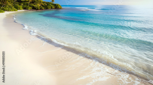 beach with palm trees