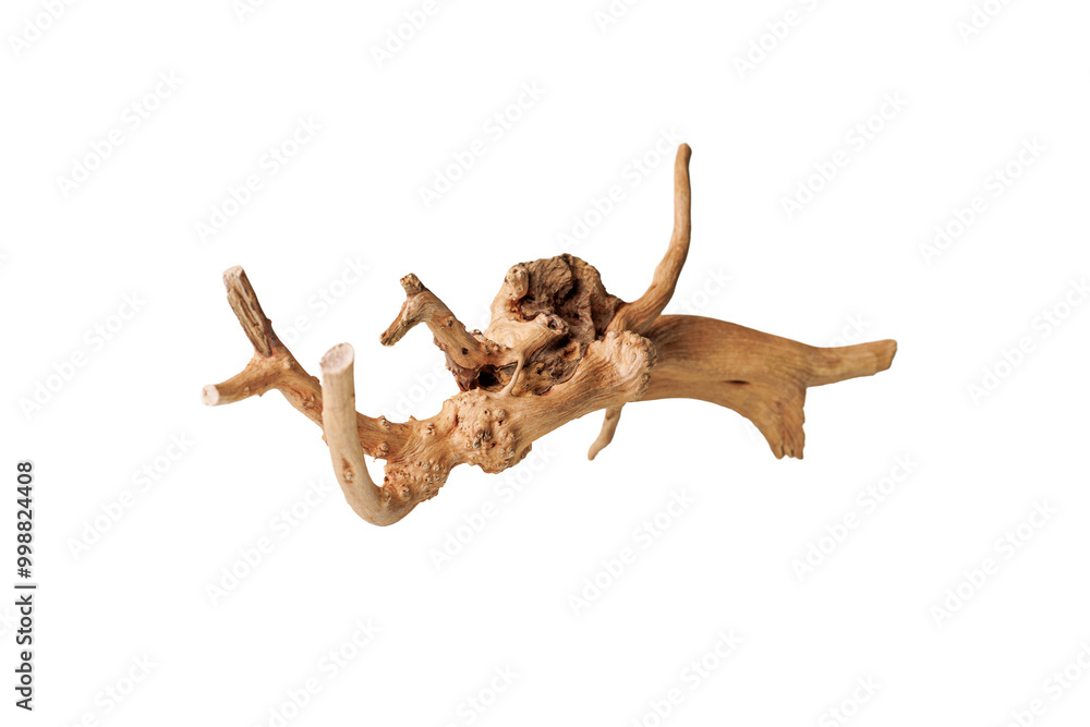 Old dry driftwood tree branch on an isolated white background close-up Old dry driftwood tree branch on an isolated white background close-up
