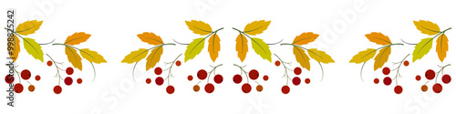 Autumn seamless border of leaves. Repeating floral ornament. Holiday pattern of bright leaves and berries on white background. Decor for Thanksgiving Day. Fall seasonal design with rowan berries.