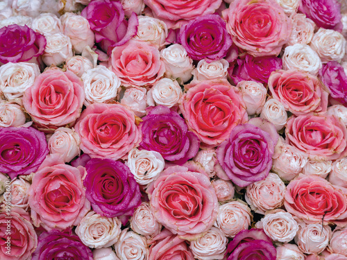 Herbst mit leuchtenden Farben, Rosenbokeh zur Trauer