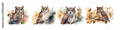 Watercolor owl set. Bird illustration. Wild animal.