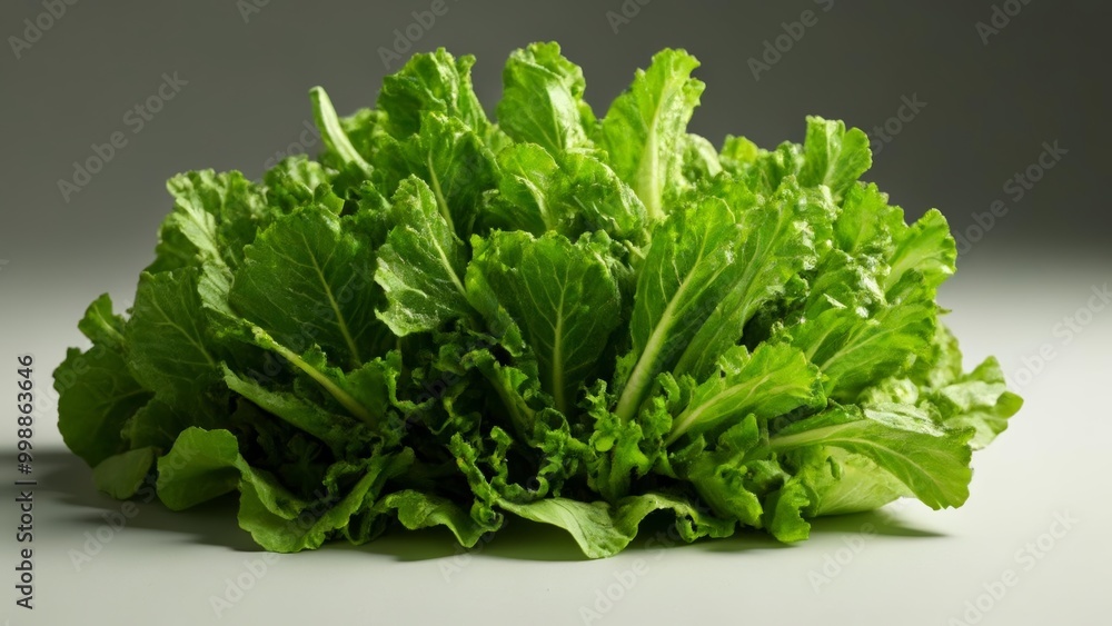  Fresh vibrant green lettuce leaves