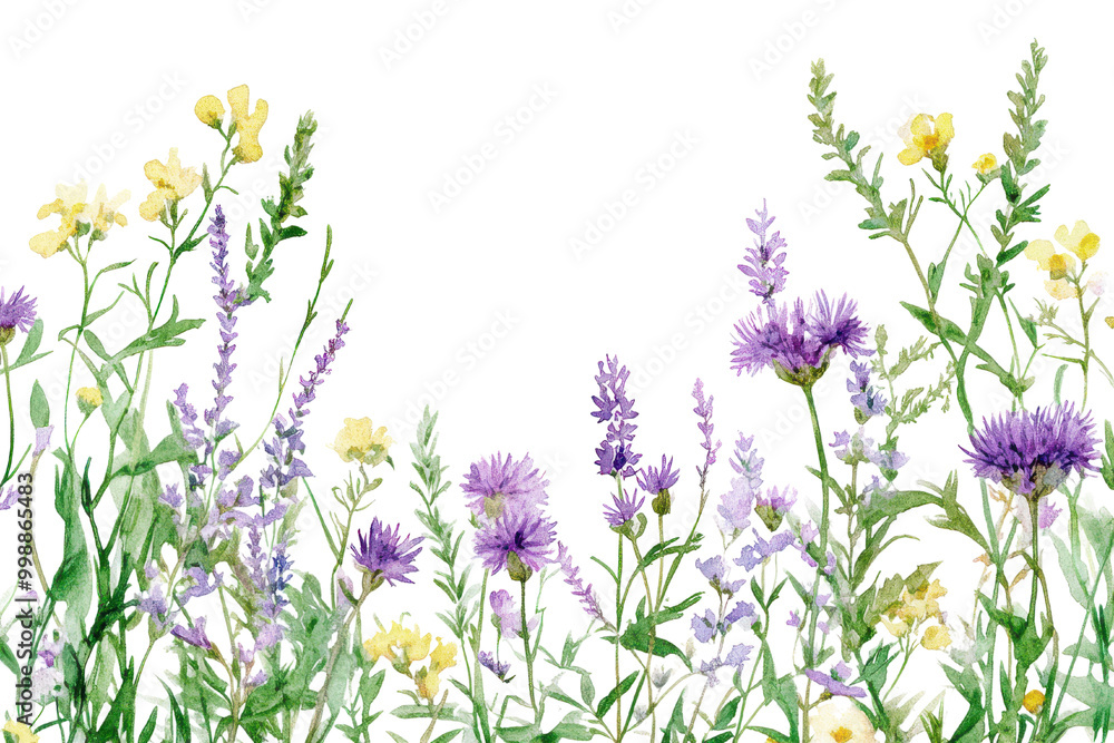Fototapeta premium A vibrant collection of wildflowers showcasing yellow, purple, and blue blooms against a transparent background, transparent background.