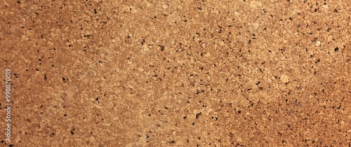 Brown surface with many small holes. The holes are of different sizes and are scattered all over the surface