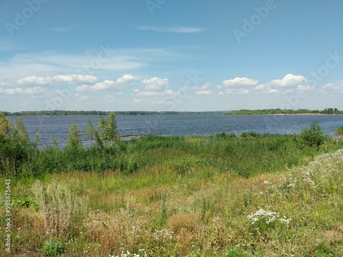 landscape with a lake and grass