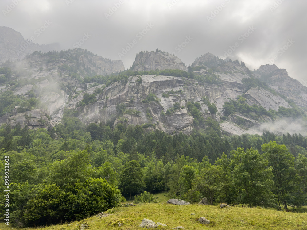 A misty mountain landscape featuring dense green forests and towering rocky cliffs shrouded in fog capturing the serene and mysterious beauty of nature. Location: Italian Alps, Val Di Mello. A misty mountain landscape featuring dense green forests and towering rocky cliffs shrouded in fog capturing the serene and mysterious beauty of nature. Location: Italian Alps, Val Di Mello.
