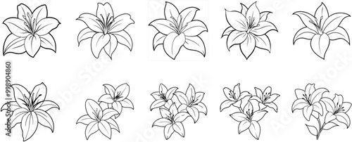 Abstract lines, various lily patterns