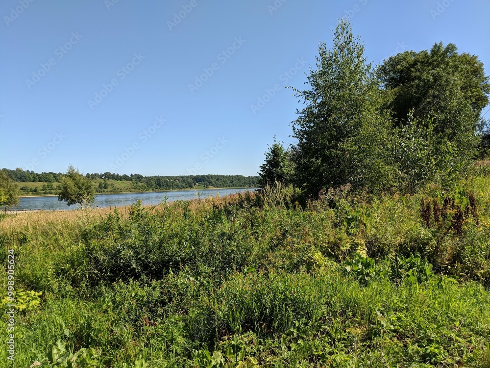 landscape with trees and blue sky landscape with trees and blue sky
