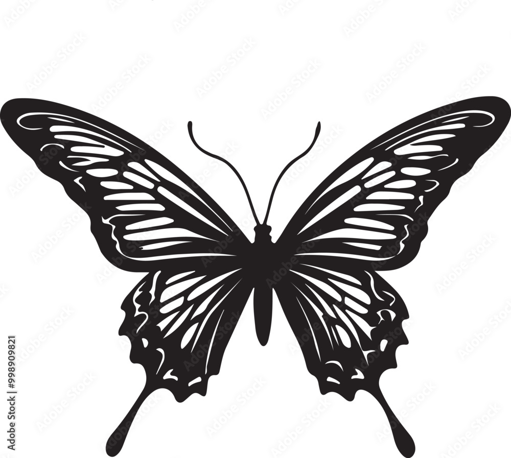 Butterfly Butterfly